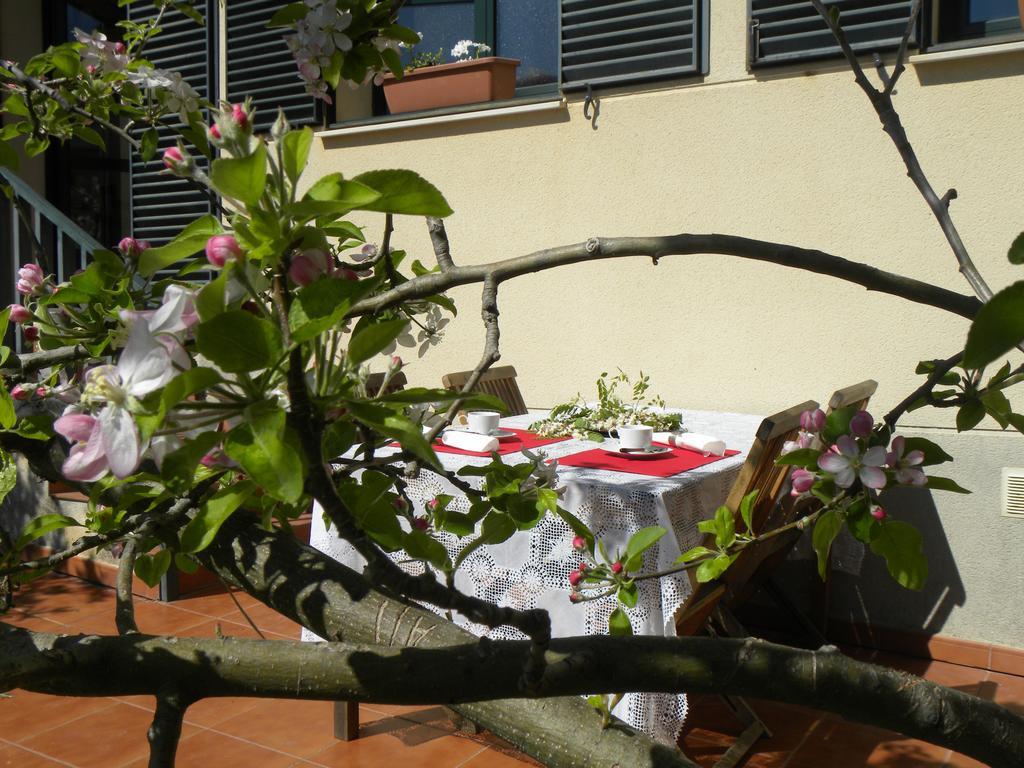 El Jardin De Los Gatos Apartament Caceres Ngoại thất bức ảnh